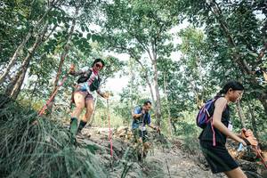 BIB: 
                            <button type="button" onclick="openModal(25983303)" class="btn btn-primary btn-sm float-right btn-popup" data-toggle="modal" data-target=".modal-high-quality">
                        <i class="fas fa-shopping-cart"></i> Add to Cart
                    </button>
                                            <button type="button" onclick="isThisMe(25983303, true)" class="btn btn-success btn-sm float-right btn-popup btn-isme hidden" data-toggle="tooltip" data-placement="bottom" title="นี่คือรูปของคุณใช่ไหม คลิกที่นี่เพื่อเอาเข้าอัลบั้ม">
                        <i class="fas fa-plus"></i> Add to album
                    </button>
                    <button type="button" onclick="isThisMe(25983303, false)" class="btn btn-warning btn-sm float-right btn-popup btn-isnotme hidden">
                        <i class="fas fa-ban"></i> Remove from album
                    </button>